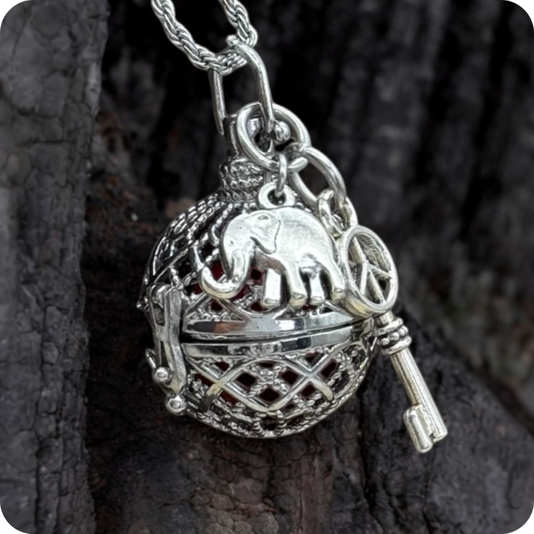 Llave a la abundancia