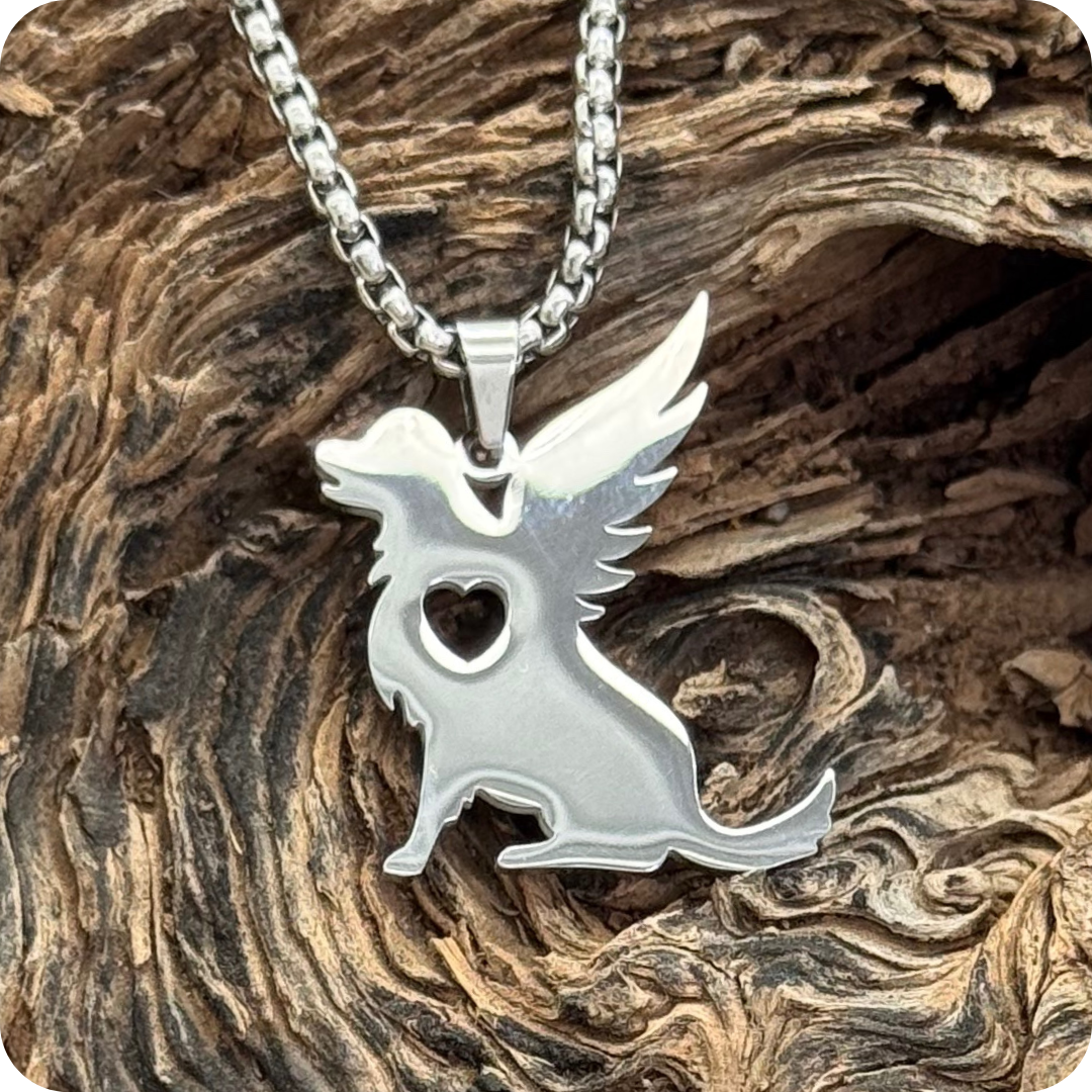 Mascota en el cielo