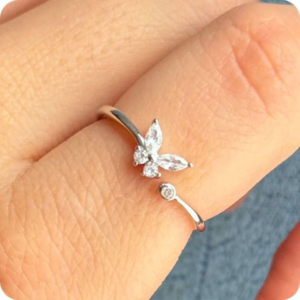 Anillo vuelo interior plata .925